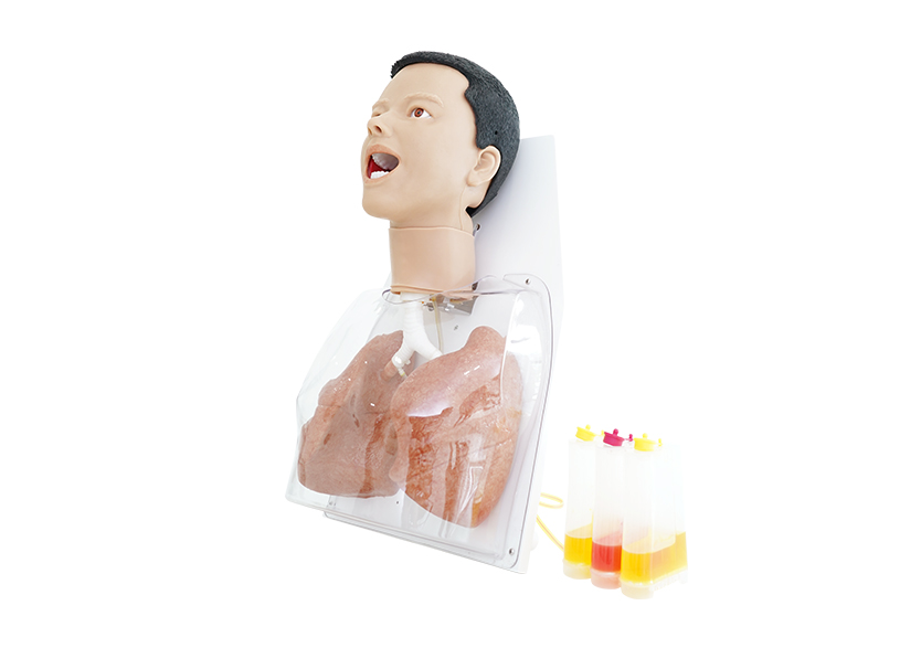 COVID-19綜合技能訓練模型