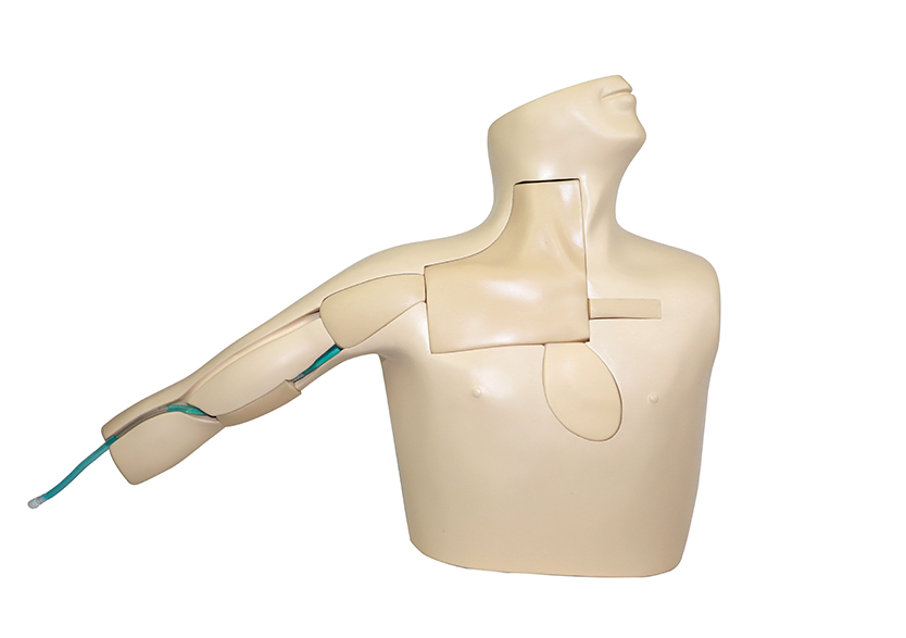 中心靜脈置管術(shù)訓練平臺 2.0